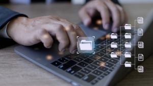Document Management System (DMS) being setup by IT consultant wo